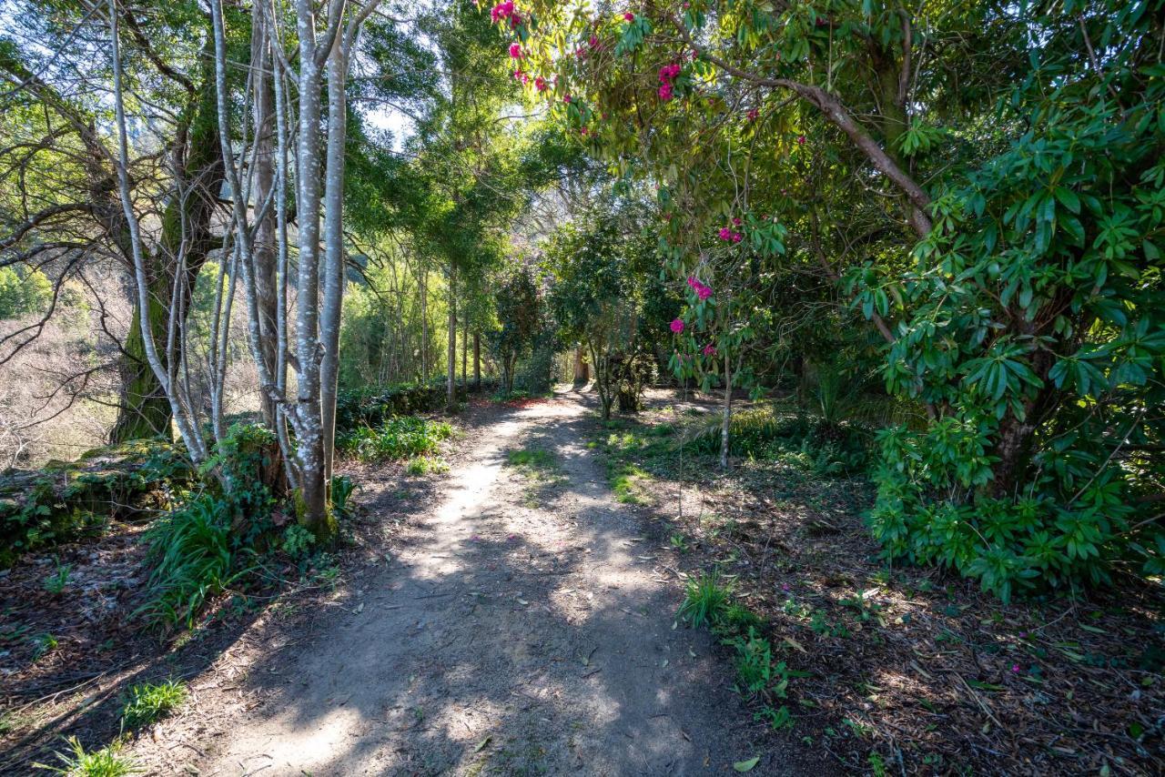 Quinta Das Lamas - Antiga Adega Vouzela Exterior photo